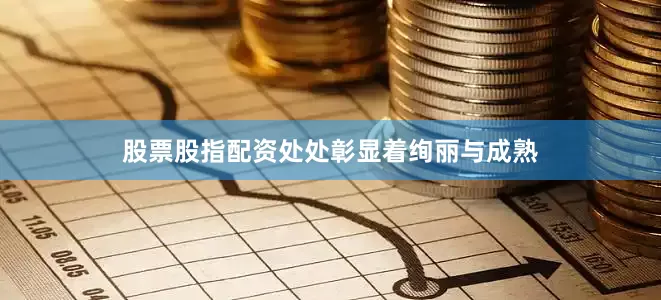 股票股指配资处处彰显着绚丽与成熟