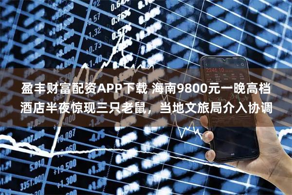 盈丰财富配资APP下载 海南9800元一晚高档酒店半夜惊现三只老鼠，当地文旅局介入协调