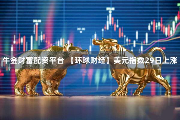 牛金财富配资平台 【环球财经】美元指数29日上涨